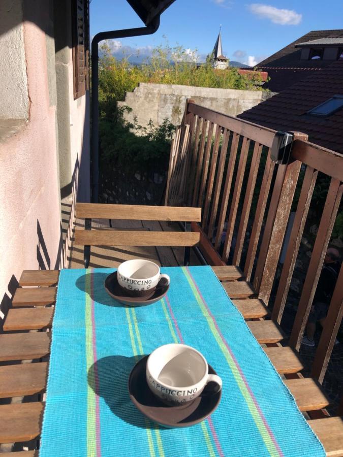 אנסי Appartement Dans La Vieille Ville, En Face Du Chateau מראה חיצוני תמונה